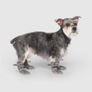 Canada Pooch Hot Pavement Boots in Grey 3