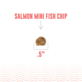 Icelandic+ - Salmon Mini Fish Chips Dog Treats