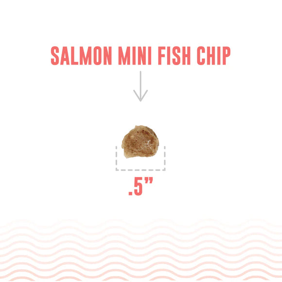 Icelandic+ - Salmon Mini Fish Chips Dog Treats