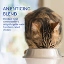 Inaba - Churu Stew - Chicken & Tuna Recipe (For Cats)