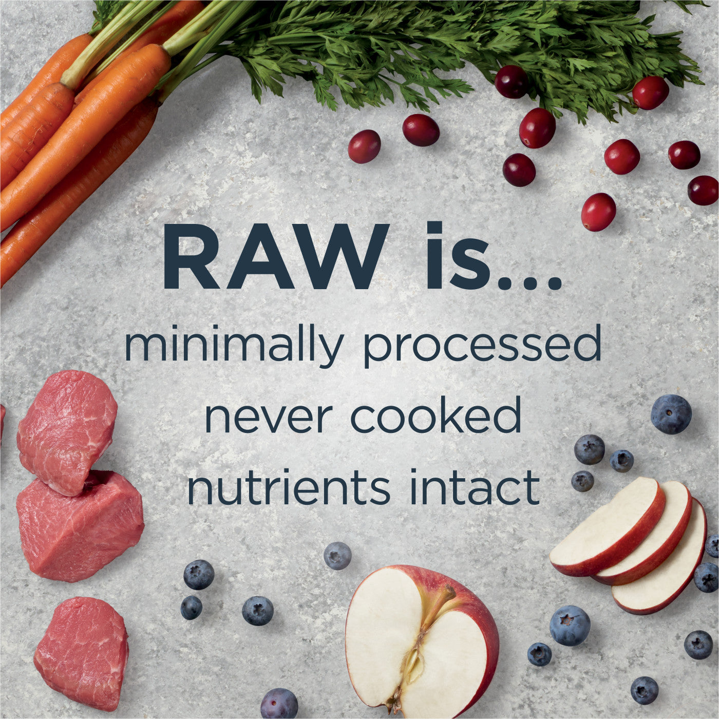 Instinct - Raw Boost - Whole Grain Real Lamb & Oatmeal Recipe (For Dogs)