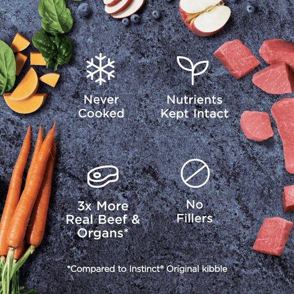 Instinct - Raw Frozen Bites Real Beef Recipe - Frozen Product