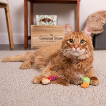 Instincts - HappyNip Love Mates Feather Birds (For Cats) - 0