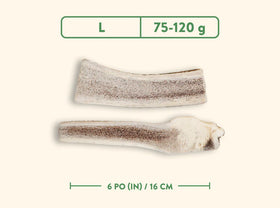 Jawgler (Dentler) - Natural Wild Taste (Split)