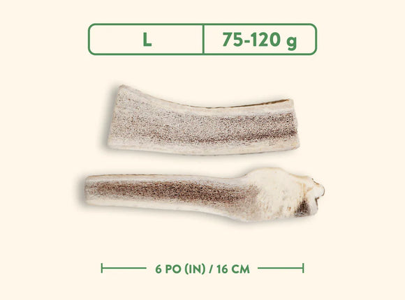 Jawgler (Dentler) - Natural Wild Taste (Split)