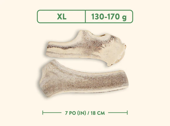 Jawgler (Dentler) - Natural Wild Taste (Split)