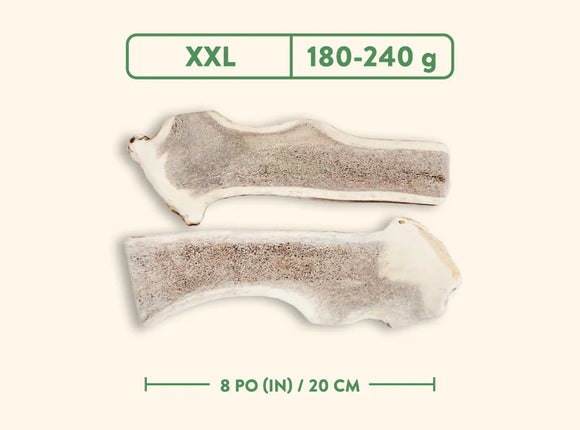 Jawgler (Dentler) - Natural Wild Taste (Split)