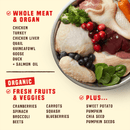 Stella & Chewy's Wild Red Raw Blend Grain & Legume Free Prairie Recipe dry dog food