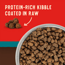 Stella & Chewy's Wild Red Raw Coated Grain & Legume Free Ocean Recipe dry dog food