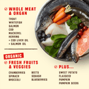 Stella & Chewy's Wild Red Raw Coated Grain & Legume Free Ocean Recipe dry dog food