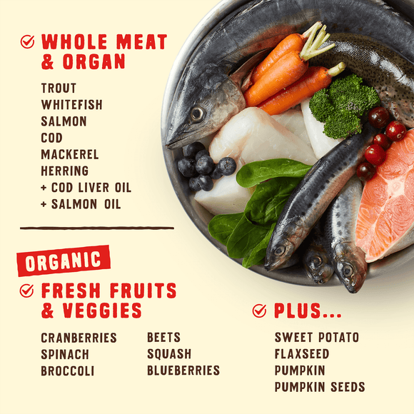 Stella & Chewy's Wild Red Raw Coated Grain & Legume Free Ocean Recipe dry dog food
