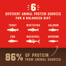 Stella & Chewy's Wild Red Raw Coated Grain & Legume Free Ocean Recipe dry dog food