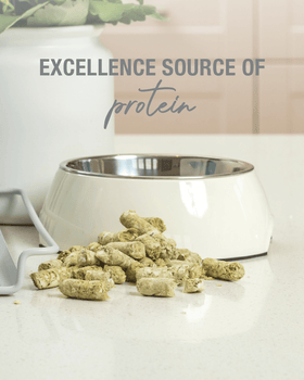 K9 Natural - Beef Green Tripe Freeze-Dried Dog Food Booster-ARMOR THE POOCH