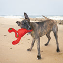 KONG - Belly Flops Lobster (For Dogs)