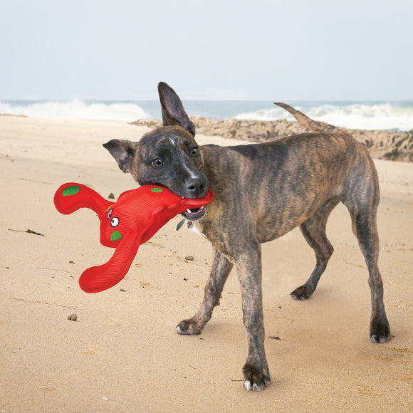 KONG - Belly Flops Lobster (For Dogs)