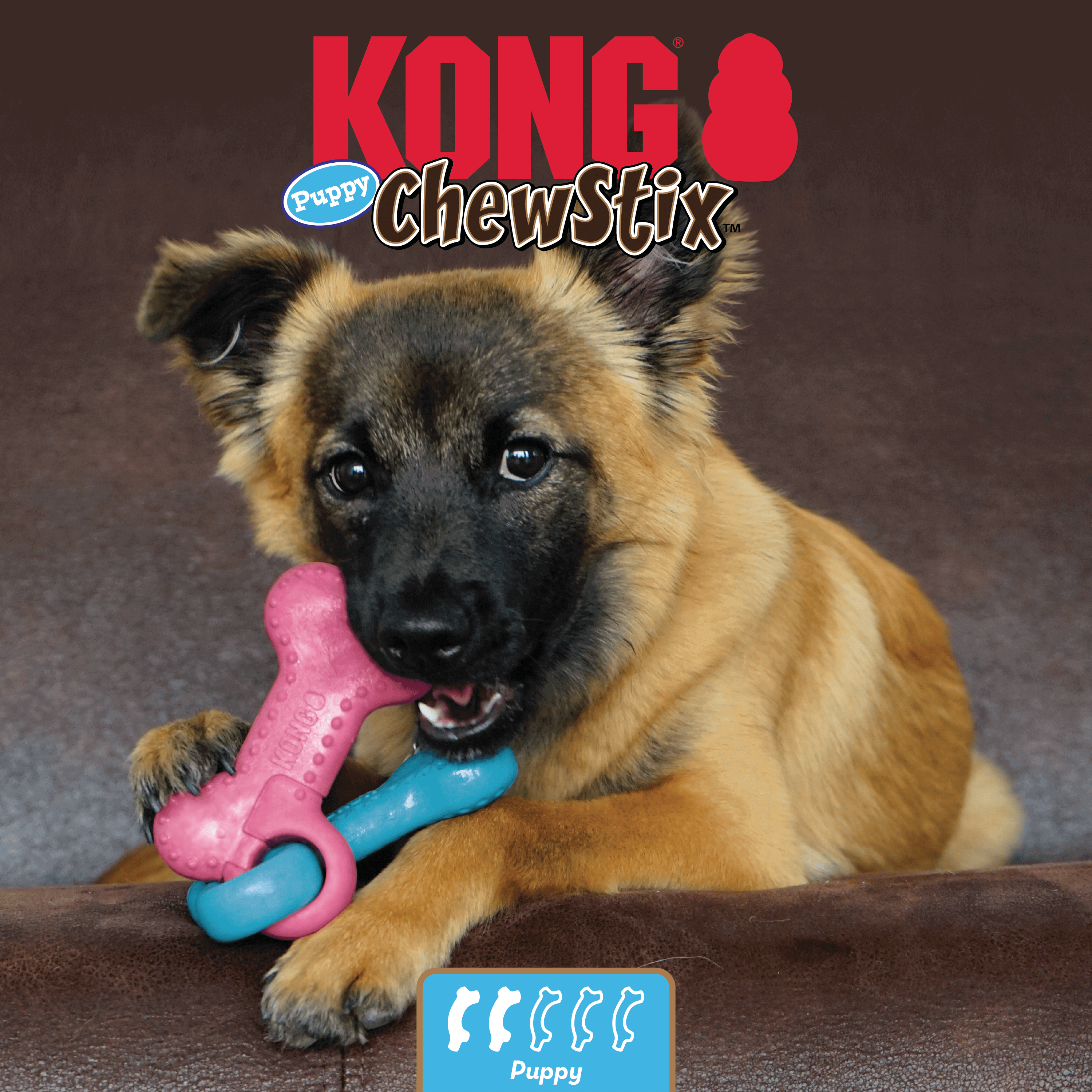KONG | Chewstix Link Bone | Puppy Chew Toy