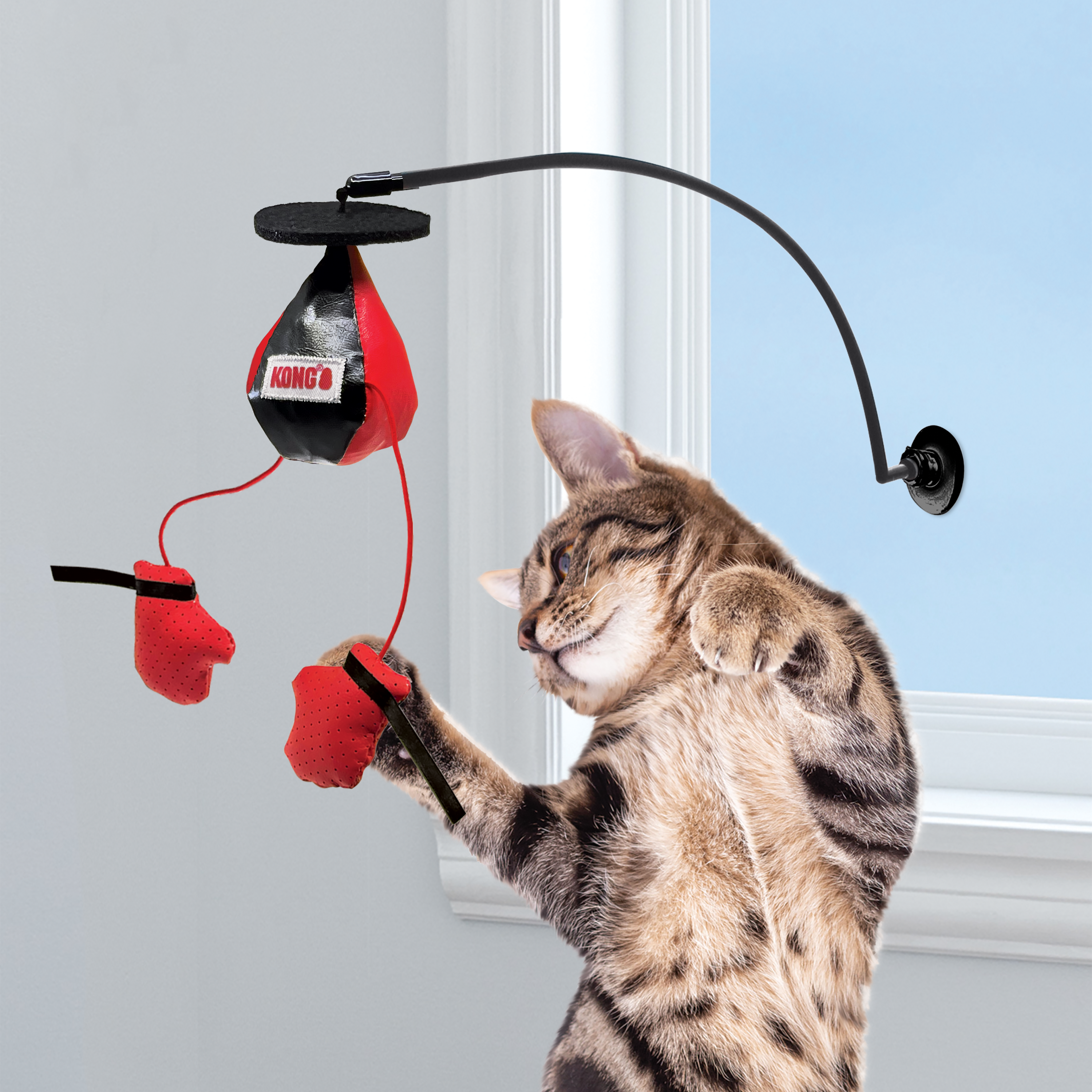 KONG - Connects Window Boxing (For Cats)