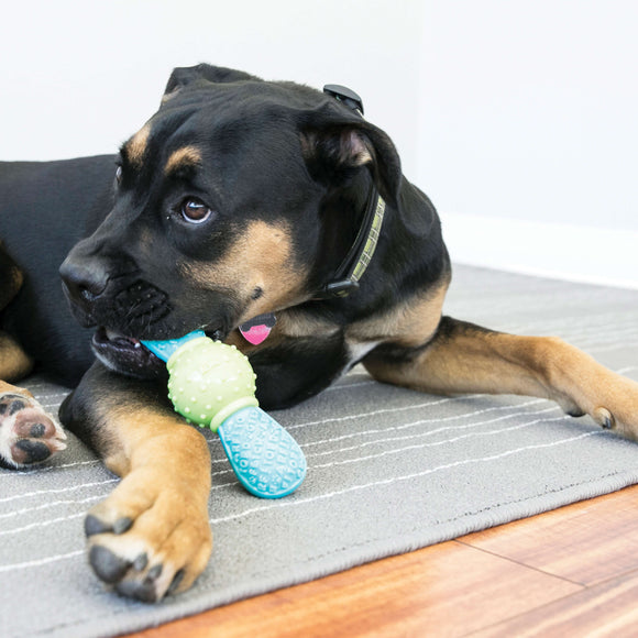 KONG | Corestrength Bow Tie | Chew Dog Toys | ARMOR THE POOCH