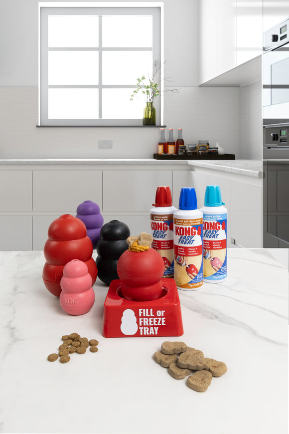 KONG - Fill or Freeze Tray (Single)