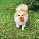 KONG - Ogee ORB (For Dogs)