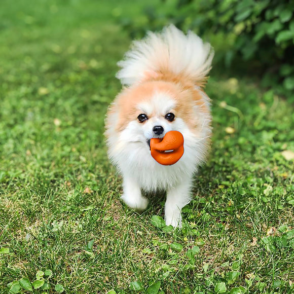 KONG - Ogee ORB (For Dogs)