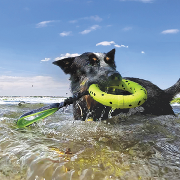 KONG - Reflex Tug (For Dogs) 