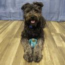 KONG - Reward Roll Upz Ball (For Dogs)