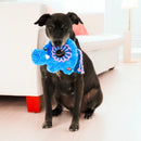 KONG - Ringaroos Elephant (For Dogs)