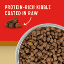 Stella & Chewy's Wild Red Raw Coated Wholesome Grains Prairie Recipe dry dog food