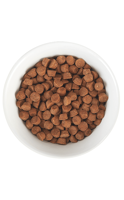 Tiki Cat - Born Carnivore - Kitten Health: Deboned Chicken & Egg (For Kittens)