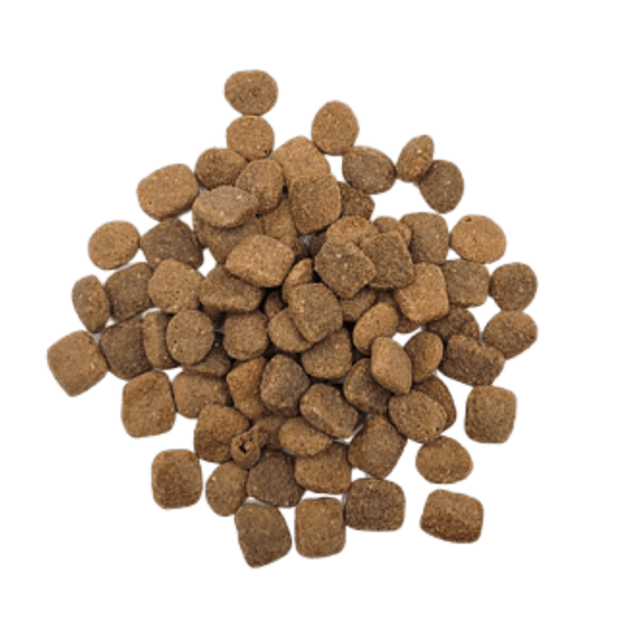 RAWZ - Wild Caught Salmon (Dry Dog Food)