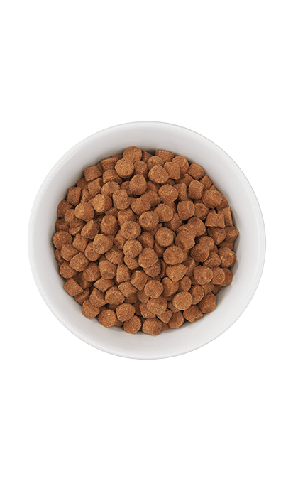 Tiki Cat - Born Carnivore - Optimal Weight: Turkey Recipe (For Cats)