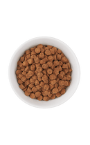 Tiki Cat - Born Carnivore - Optimal Weight: Turkey Recipe (For Cats)