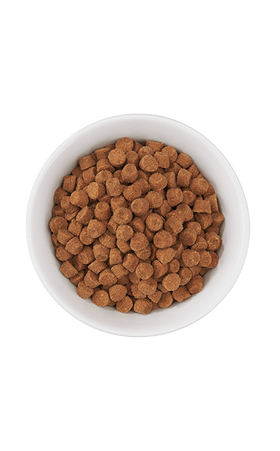 Tiki Cat - Born Carnivore - Optimal Weight Turkey Recipe (For Cats)