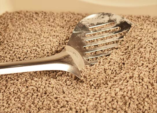 World's Best Cat Litter - Multiple Cat Lavender Scented