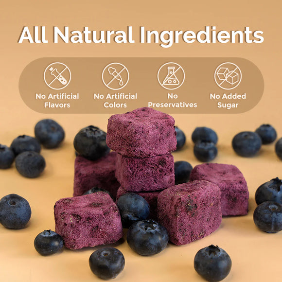 Loopy Paws - Crispy Goat Yogurt - Blueberry (For Dogs & Cats)