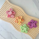 Loopy Paws - Crispy Goat Yogurt - Veggie & Apple (For Dogs & Cats)