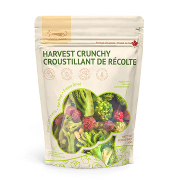 Loopy Paws - Crunchy Harvest - Broccoli, Corn & Cranberry (For Dogs & Cats)