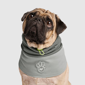 Canada Pooch Max Chill Cooling Snood in Grey