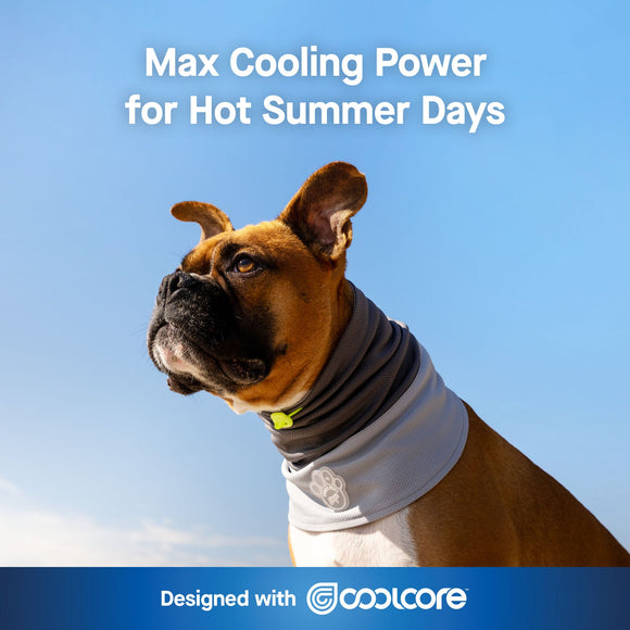 Canada Pooch Max Chill Cooling Snood in Grey 2