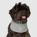 Canada Pooch Max Chill Cooling Snood in Grey 5