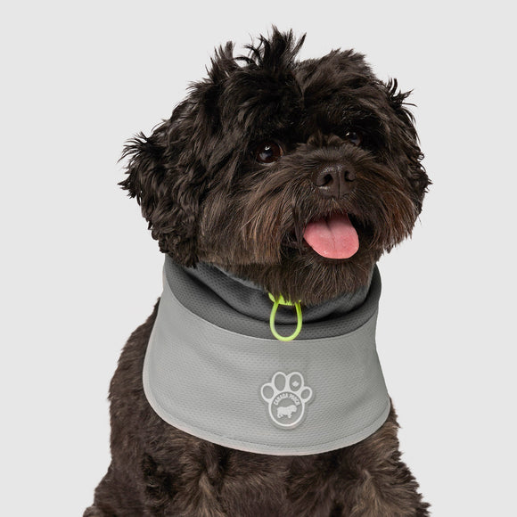 Canada Pooch Max Chill Cooling Snood in Grey 5