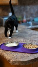 Messy Cats - Double Silicone Cat Feeder with Stainless Bowl (For Cats)