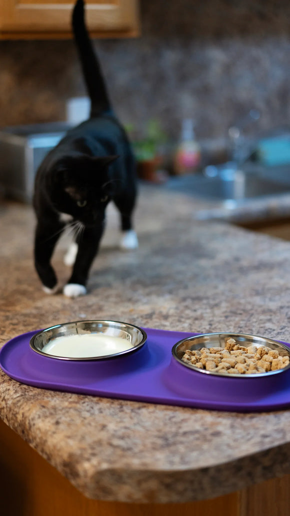 Messy Cats - Double Silicone Cat Feeder with Stainless Bowl (For Cats)
