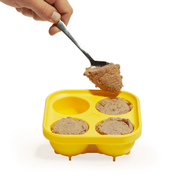 woof Pupsicle Treat Tray filled with homemade frozen treats