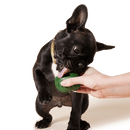 woof Pupsicle Treat Tray features