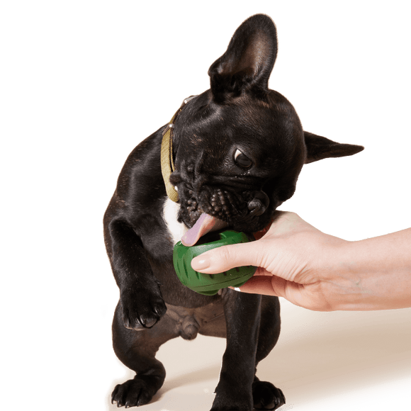 woof Pupsicle Treat Tray features