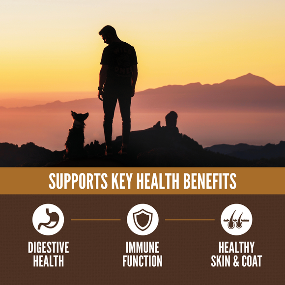ORIJEN Amazing Grains Regional Red key health benefits