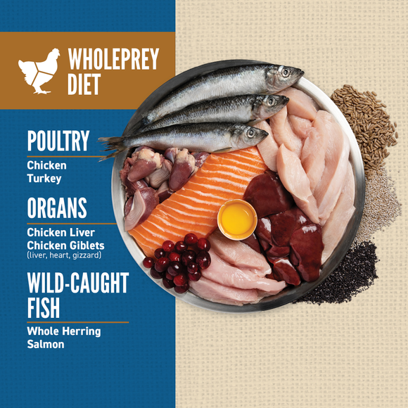 ORIJEN Amazing Grains Original WholePrey ingredients: chicken, turkey, organs, herring and salmon