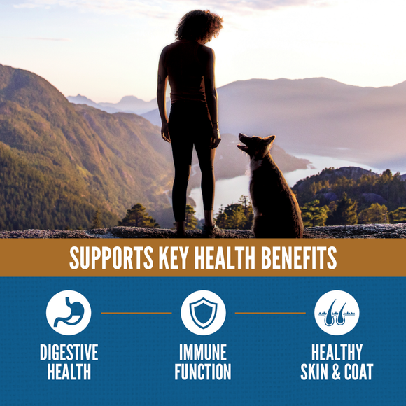 ORIJEN Amazing Grains supports digestive health, immune function and healthy skin and coat